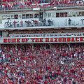 Home Of The Razorbacks