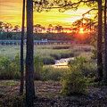 Golden Sunset 